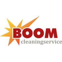 Boom Cleaning Service And Maintenance