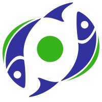 New Life International (Nl Spectrum)