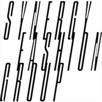 Synergy Fashion Group