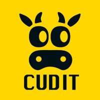 CUDIT Games logo - Similar company to Flatmind Games