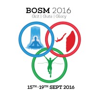 Sponsorship & Marketing - BOSM, BITS Pilani logo - Similar company to Q2 Esports Llp