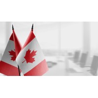 Masala nation logo - Similar company to The Yonge Group