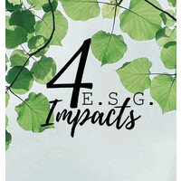4 ESG IMPACTS logo - Similar company to Forum Ethibel