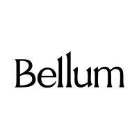 Bellum, LLC logo - Similar company to Bellum Smart