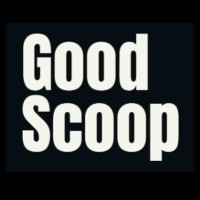 Good Scoop logo - Similar company to Alexander Pr