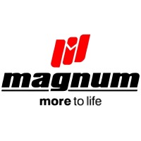 Magnum Technologies de México logo - Similar company to Cerattone