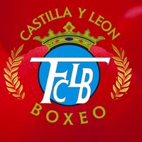 FEDERACIÓN DE BOXEO DE CASTILLA Y LEÓN logo - Similar company to Federación Gallega De Boxeo