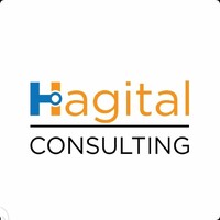 Hagital Consulting logo - Similar company to S