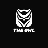 The Owl logo - Similar company to Owl In Space