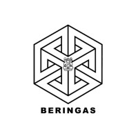 Badan Pengurus Angkatan FTMD 2020 logo - Similar company to Ftmd 'Gemuruh' 2022