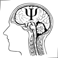 Vaishnavi Bhat Neuropsychologist logo - Similar company to Neurotree Hospital