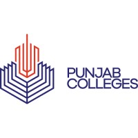 Punjab Group of Colleges logo - Similar company to Faisal Cottages