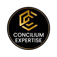 Concilium Expertise logo - Similar company to Clipper Technologies