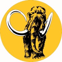 MAMMUT LIFT logo - Similar company to Schmidiger Funklösungen