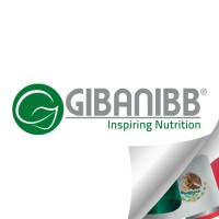 GIBANIBB logo - Similar company to Autodealmex