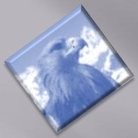 ACSER CONCEPT logo - Similar company to Hd Facades