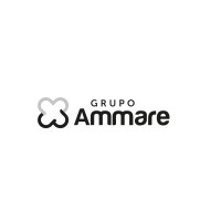 Grupo Ammare logo - Similar company to Paymaker