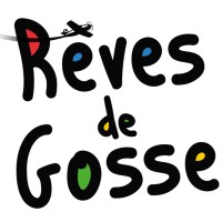 Rêves de Gosse logo - Similar company to Skan1 : The Integrity Assessor
