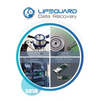 LifeGuard Data Recovery - UAE logo - Similar company to Etwio