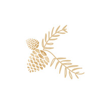 Chaliphotographies - Photographe professionelle Pau logo - Similar company to Master Grappe®
