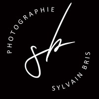 Sylvain Bris logo - Similar company to Lejardin.Bzh