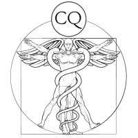 Chem Quant Analytical Solutions, LLC logo - Similar company to 2K Scientific