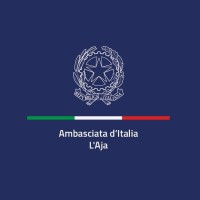 Italy in the Netherlands logo - Similar company to Istituto Italiano Di Cultura Bim E Organizzazione D'Impresa