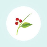 HIOX India logo - Similar company to Jit Global Infosystems Pvt. Ltd.