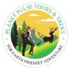Planet Pulse Tours & Treks logo - Similar company to Born Explorer