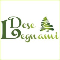 DESE LEGNAMI di Dimatteo Maria logo - Similar company to Legnami Bracchi S.N.C.