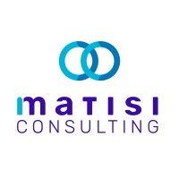 Matisi Consulting logo - Similar company to Technonest
