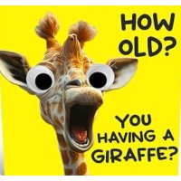 Giraffe Cleaning Company logo - Similar company to Facilco