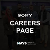 Sony Promoters Career Page logo - Similar company to Snomad