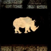 Rhino Comedy logo - Similar company to Golficity