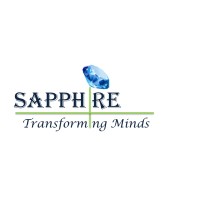 Sapphire Services logo - Similar company to Sapphire Technologies Pvt Ltd