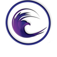 EaglesIdea Ltd. logo - Similar company to Hosting Lagbe