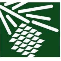 East Texas Communities Foundtn
