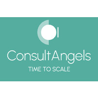ConsultAngels • Time to Scale logo - Similar company to Innocraft.Co