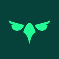 Eagle Eye Advisors logo - Similar company to Midprocon