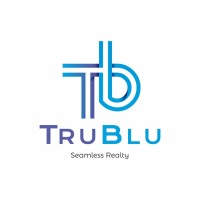 TruBlu Advisory Services logo - Similar company to Biddinghouse