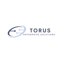 Torus Enterprise Solutions logo - Similar company to Telerivet