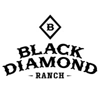 Black Diamond Ranch logo - Similar company to The 2023 Foundation