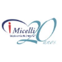 Micelli E Associados