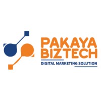 Pakaya Biztech Solution logo - Similar company to Max Ayo Consultancy
