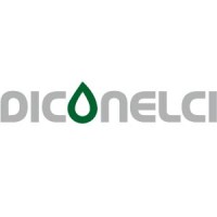 DICONELCI logo - Similar company to Horizon Solutions
