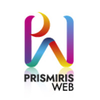 prismirisweb logo - Similar company to Melcvid