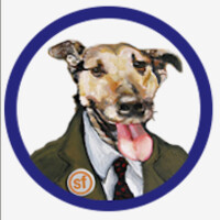 Steadfast Paper, Inc. logo - Similar company to Vitafur