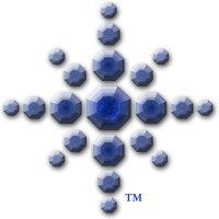 StarJewel Showcase logo - Similar company to Test Prep Gurus