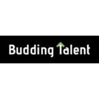Budding Talent Partners logo - Similar company to The Underdog Family