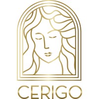 Cerigo logo - Similar company to Project Naqsh
